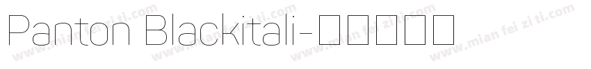 Panton Blackitali字体转换